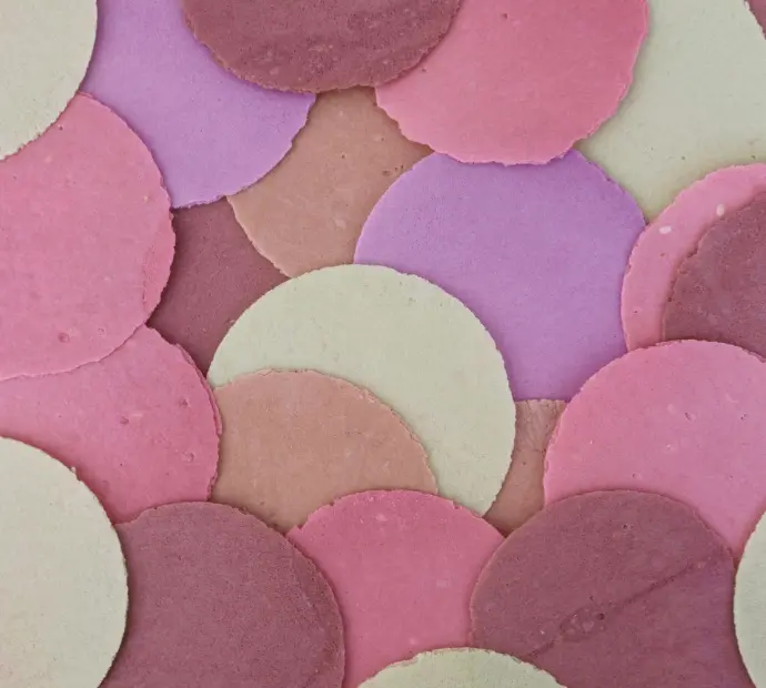 Obleas NUUM Arándanos